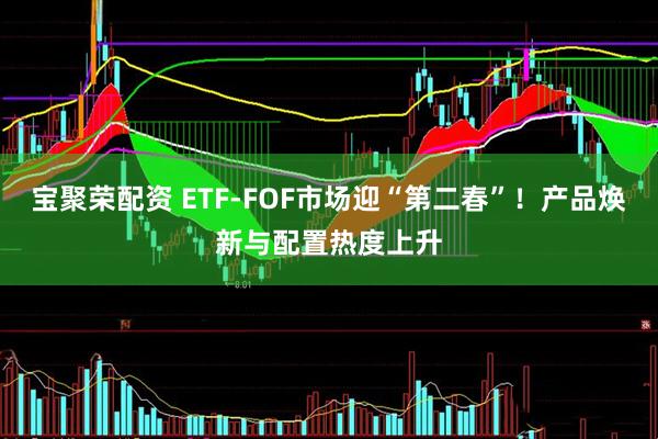 宝聚荣配资 ETF-FOF市场迎“第二春”！产品焕新与配置热度上升