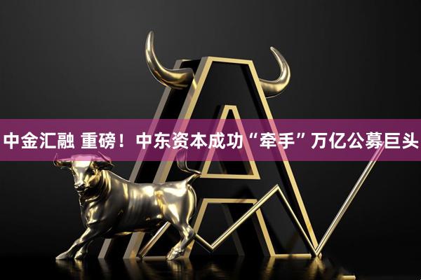 中金汇融 重磅！中东资本成功“牵手”万亿公募巨头