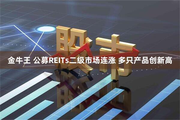 金牛王 公募REITs二级市场连涨 多只产品创新高