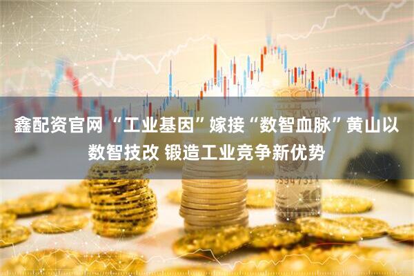鑫配资官网 “工业基因”嫁接“数智血脉”黄山以数智技改 锻造工业竞争新优势