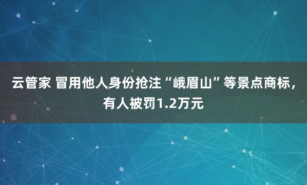 云管家 冒用他人身份抢注“峨眉山”等景点商标，有人被罚1.2万元