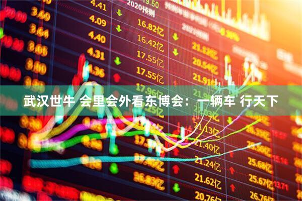 武汉世牛 会里会外看东博会：一辆车 行天下