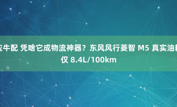 应牛配 凭啥它成物流神器？东风风行菱智 M5 真实油耗仅 8.4L/100km