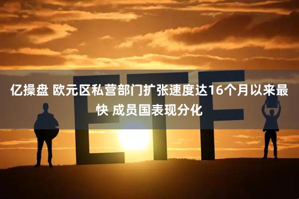 亿操盘 欧元区私营部门扩张速度达16个月以来最快 成员国表现分化