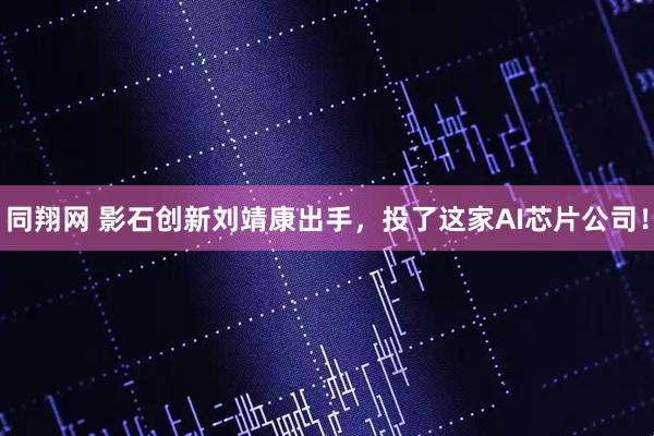 同翔网 影石创新刘靖康出手，投了这家AI芯片公司！